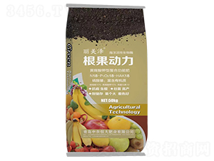 ������(d��ng)��-������-���r(n��ng)���