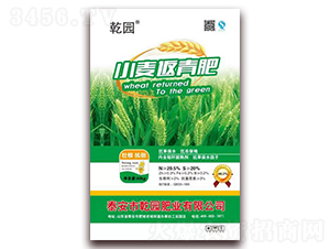 С�������-Ǭ�@