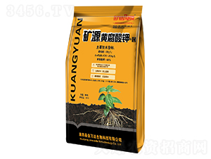 �VԴ�S�����+��-���f(w��n)�_(d��)���r(sh��)��