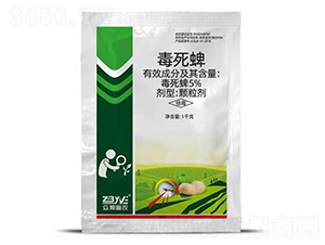 5%�������w����-�������r