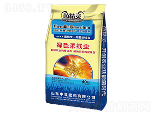 ΢�������-�����`-���ŷ���