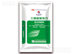 �����������-���\(y��n)��-���ͷʘI(y��)