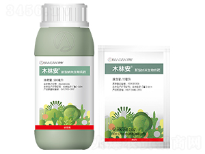 ���ͼ{�������r(n��ng)ˎ-ľ�ְ�-�