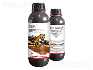 50%���١�����������-�C��-�����r(n��ng)�I(y��)