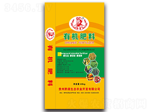 �ЙC����-�͌�-ǭԴ���B(t��i)