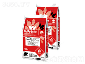 �ͺϷ���13-7-40-������ܽ�S-�ָ�Ԫ