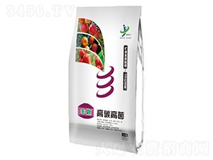 ��̼�߾���-�S��-���ƻ���