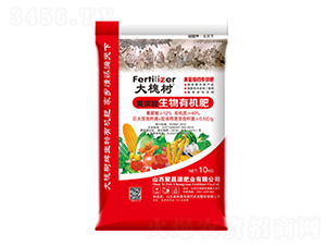 �S���������ЙC(j��)��-�󻱘�-�S��ʘI(y��)