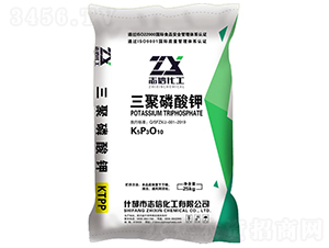 ���������-־�Ż���-��(chu��ng)��(li��n)�S