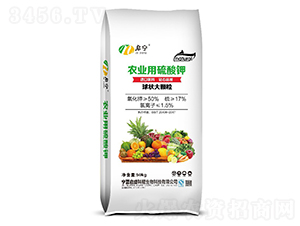 �r(n��ng)������⛣������w����-����-��ʢ��ҫ