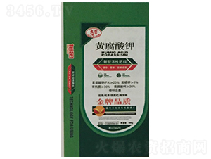 �S�����-����