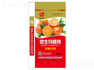 ���ٌ���΢�������-˼�ض�