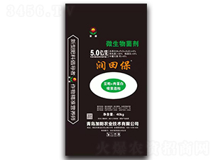 ΢�������-���ﱣ-���