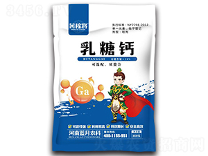 �����}-��ڌ�-�{(l��n)���r(n��ng)�I(y��)