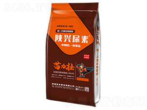 ��d���أ����@���ʣ�-������-�S��׷ʘI(y��)