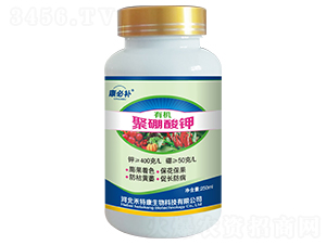 �ЙC(j��)�������-�����a(b��)-���ؿ�