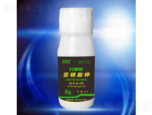 ������⛡�350g��-��{