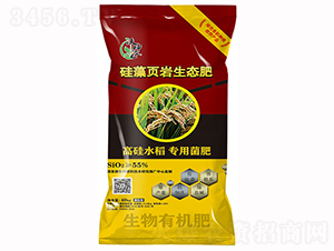 ����퓎r���B(t��i)�ʣ��߹�󶹌��÷ʣ�-�����r(n��ng)�I(y��)