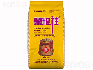 ����Z��΢�������-���Z��-ϲ�ǿ�