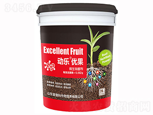 ΢�������-��(d��ng)����(y��u)��-ϲ�ǿ�