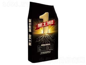 �������-����1̖-�R��