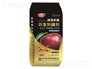 ̼���ø΢�������-�W�S��-�S������