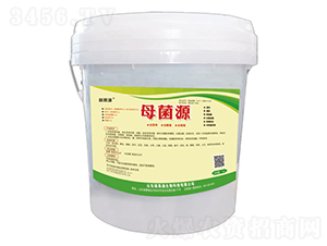 ĸ��Դ-���Դ-�T���M