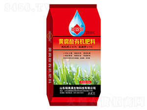 �S�����ЙC����-���Դ-�T���M