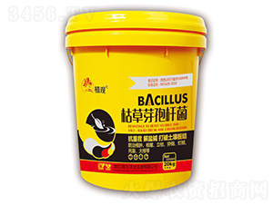 �ݲ�ѿ�ߗU��-ֲ�^-�����r�I(y��)