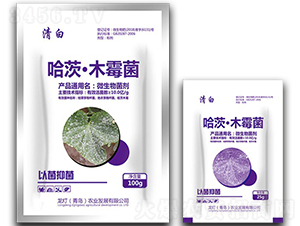 ΢�������-���ġ�ľù��-���-�����r(n��ng)�I(y��)