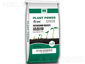 �����-ֲ�^-�����r(n��ng)�I(y��)