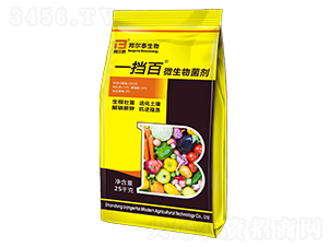 ΢�������-һ����-�̩