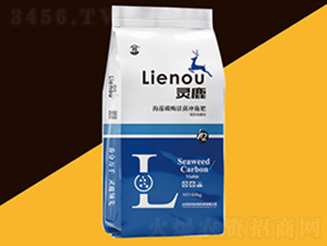 ����̼ø����_ʩ��-�`¹-�P������