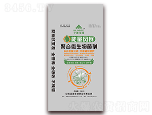 �ۺ�΢�������-�����L(f��ng)��-ʥ������