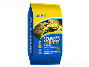 ���塤���w��-����