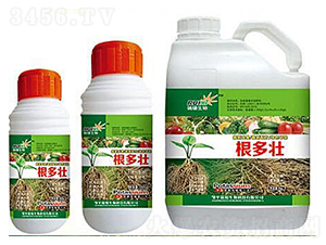 ������+����-���a����