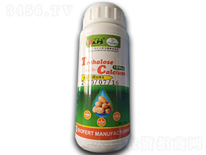 �����Ƕ��}���������I(y��)����S��-������