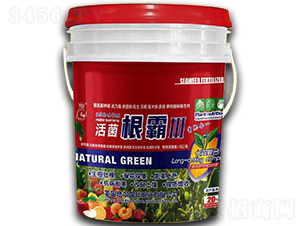 �������-Ӣ����