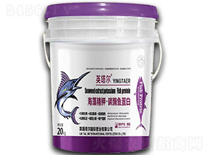 ���徫⛡�̼ø�~����-Ӣ����