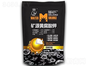 �VԴ�S�����-Ӣ����