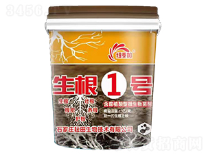 ����1̖(h��o)-�~����-��������