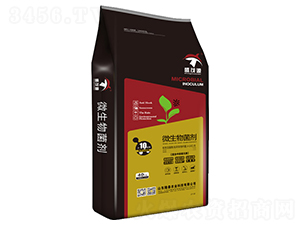 10�|΢�������-ʢïԴ-¡̩�r(n��ng)�I(y��)