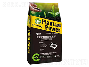 ����̼ø΢�������-���\����