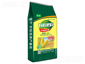 �����ЙC(j��)��-����