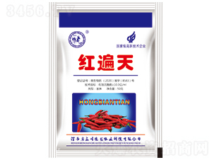 �t����-�|�M��-ԥ���r(n��ng)�I(y��)