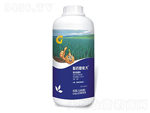 1000ml΢�������-��ˎ�[�д�-���ý�