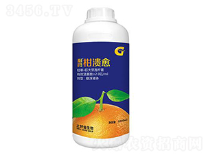 1000ml��ˎ�̝���-���ý�