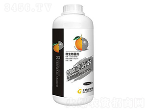 1000ml΢�������-��������-���ý�