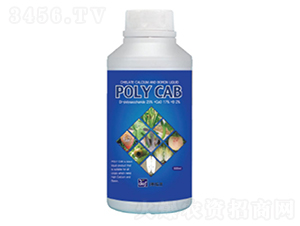 �����w�a(b��)-�����r(n��ng)�I(y��)