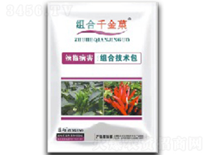 ���������M���ײ�-�M��ǧ��Ǒ-���S�r(n��ng)�Y